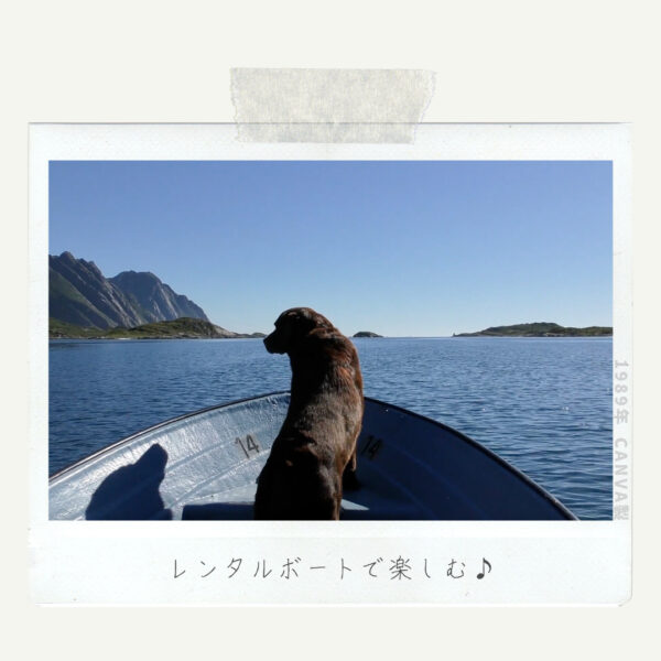 レンタルボートで楽しむ