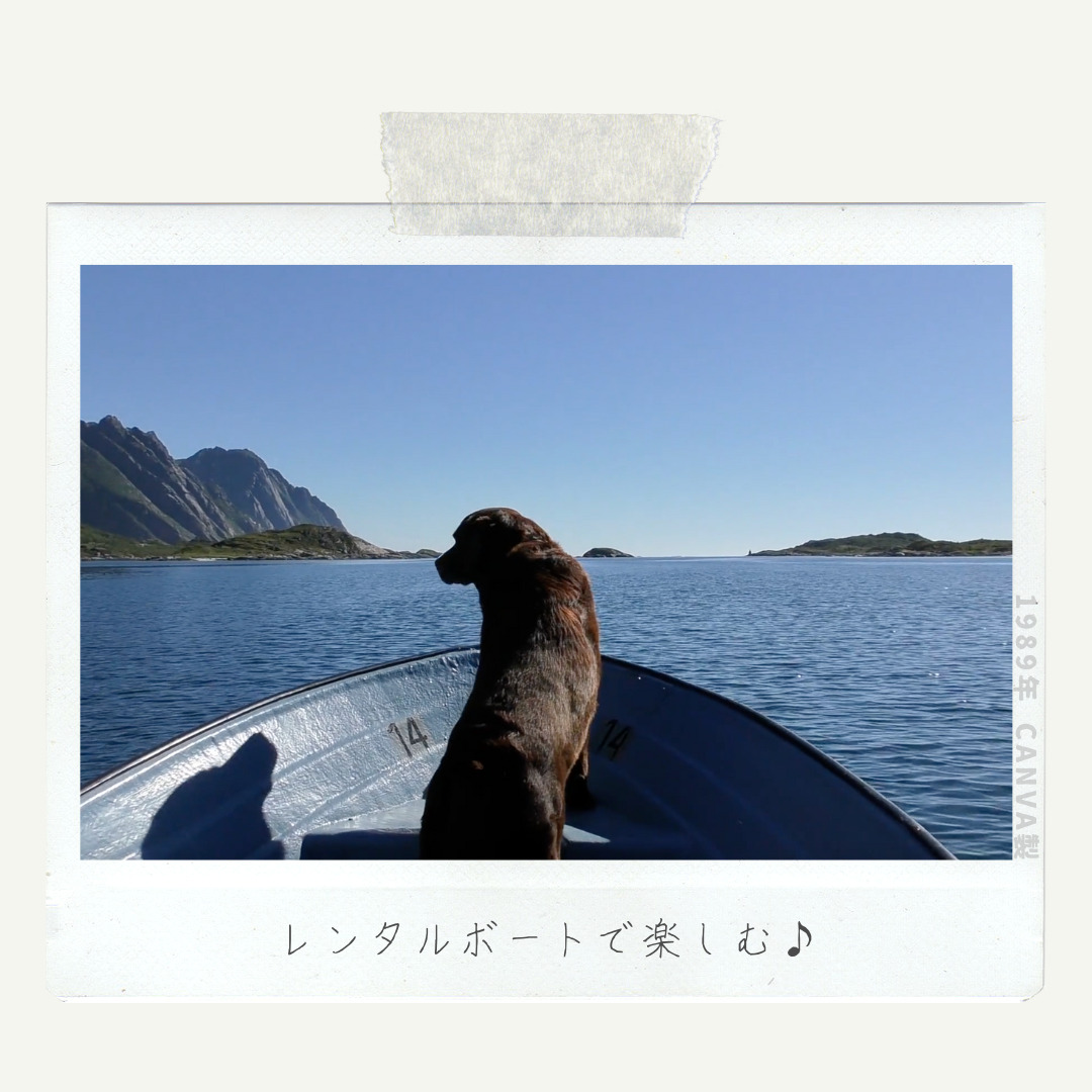 小型船舶免許　実技試験のロープワークを動画で学習！